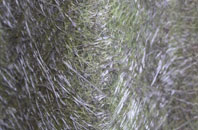 New Greenham Park fibreglass roof work